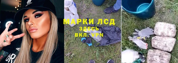 гашик Пестово