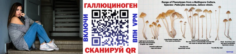 Галлюциногенные грибы Cubensis  ссылка на мегу ТОР  Белоярский  где купить  